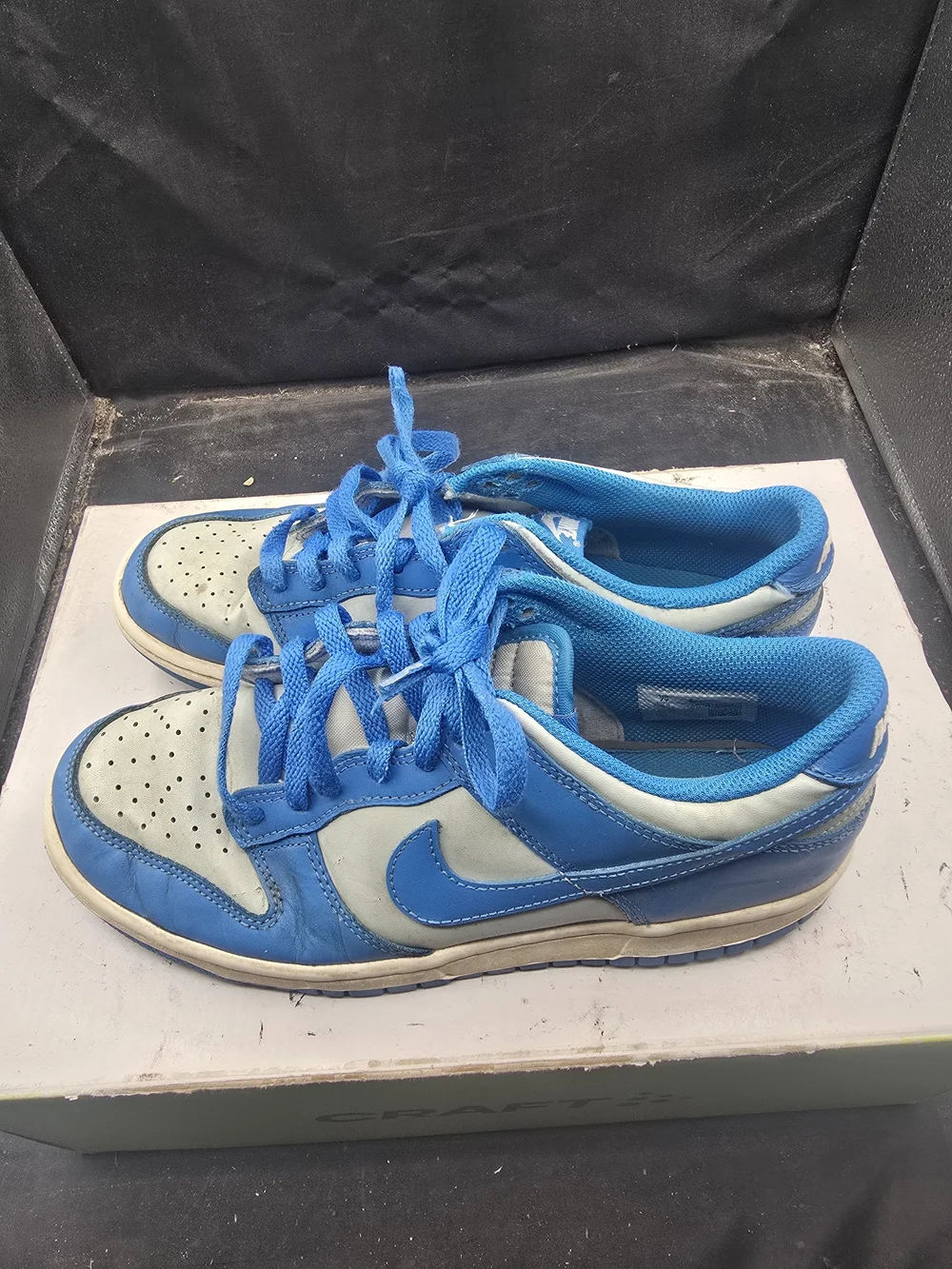 Nike Blue and White Low Top Sneakers